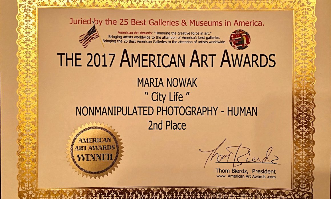 The 2017 American Art Awards - City Life