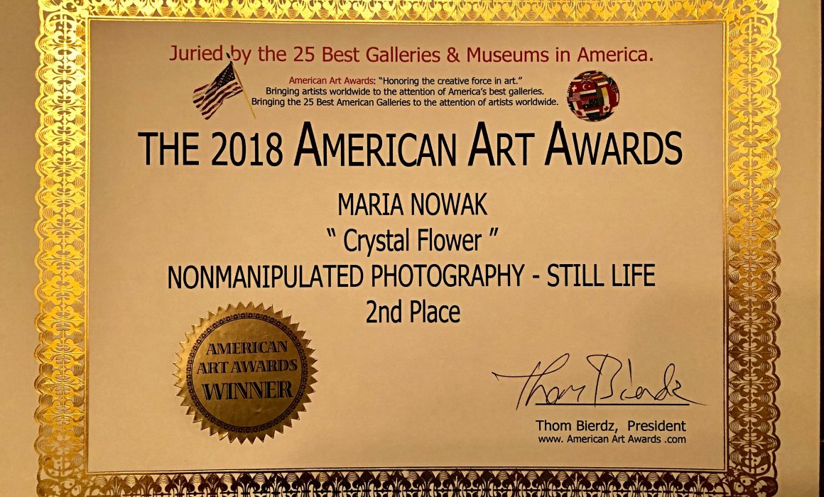 The 2018 American Art Awards - Crystal Flower