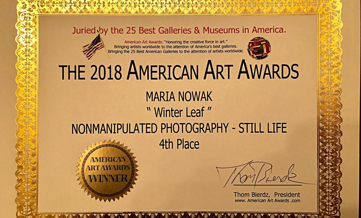 The 2018 American Art Awards - Winter Leaf